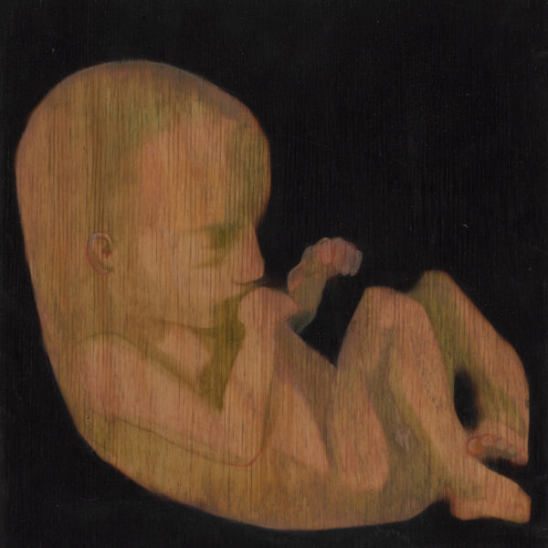  fetus/neonatus 5/11, 21x21cm, koks/eļļa
